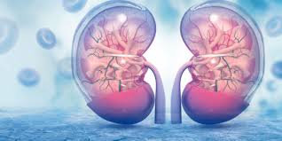 Hva kan blod i urinen komme av? Blod I Urinen Lommelegen