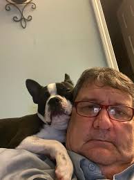 Life with a Boston terrier