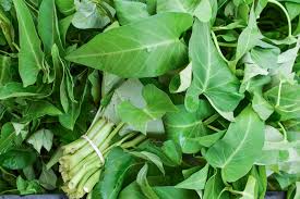 Image result for Ipomoea aquatica