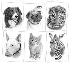 Pet Portraits Pencil Drawings And Signed Artwork Prints By Artist Gary Tymon Animal drawings pencil drawings art drawings horse pencil drawing horse head drawing wild animals drawing pencil art arte equina.