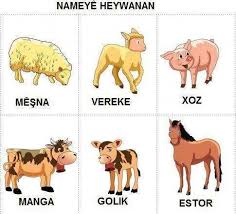 Zazaca Hayvan Isimleri Zazalara Dair Dogru Bilgi