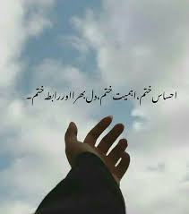 Double Meaning In 2020 Love Poetry Images Poetry Words Poetry Quotes In Urdu