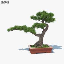 Arvore Bonsai Modelo 3d Plantas No Hum3d