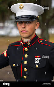 u.s. marine corps pfc. alan bulvanoski, honor graduate for platoon 2090,  echo company, 2nd recruit training battalion, graduated boot camp nov. 22,  2017. bulvanoski is from howell, n.j Stock Photo