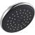 Delta Rain Shower Head
