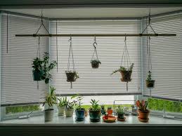 Beside the sofa, because it is often an area that can be neglected or even in a corner a little bit empty. My New House Has A Big Bay Window Of Course I Had To Fill It With Plants Love This Corner Houseplants
