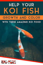 The Best Koi Food For Growth And Color 9 Brands Compared For 2020 Koi O Fish Color