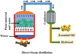 Pharmaceuticals | Free Full-Text | Unassisted And Carbon Dioxide-Assisted  Hydro- And Steam-Distillation: Modelling Kinetics, Energy Consumption And  Chemical And Biological Activities Of Volatile Oils