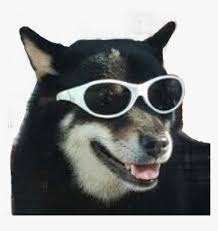 Dog Meme Funny Puppy Sunglasses Freetoedit Dog Meme Png Transparent Png Transparent Png Image Pngitem