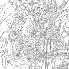 Fairies In Wonderland An Interactive Coloring Adventure For All Ages Marcos Chin 9780062419989 Books A Coloring Books Fairy Coloring Pages Coloring Pages