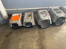 Brunilda Negron (@BrunildaNegron)