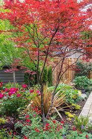 Pin On Trees For Smallgardens