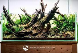 Aquascape Inspiration Kolam Ikan Akuarium Kolam