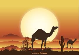 How did the american camelops spread across the world and what happened to it? Pin On Icons
