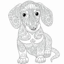 Cute people coloring pages are a fun way for kids of all ages to develop creativity focus motor skills and super cute animal coloring pages puppy coloring pages cartoon coloring pages fox super cute coloring pages best of coloring hard colouring pages for kids free printable gcss. Pin Di Best Animal Coloring Pages