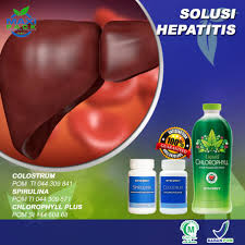 Sakit ulu hati pada bumil. Maxipack Obat Sakit Ulu Hati Untuk Ibu Hamil Izin Bpom Shopee Indonesia