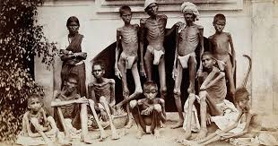 Madras famine 1877 ...