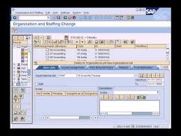 Sap Hcm Hr Overview Sap Training Tutorial Empowerment Activities