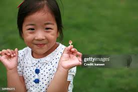 180 Kansen Stock Photos, High-Res Pictures, and Images