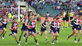 See more ideas about fremantle dockers, fremantle, dockers. Fremantle Football Club Wiki Thereaderwiki