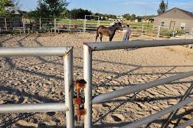 This process of training is commonly known as lunging and can take several years to master. Selecting A Round Pen The Horse