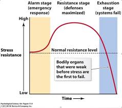 Example 2 Of Representation Of The General Adaptation Syndrome 12 Download Scientific Diagram