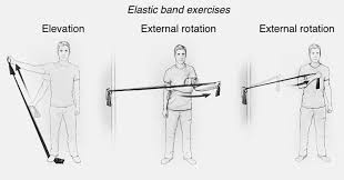 Image result for Shoulder Strength Exercises
