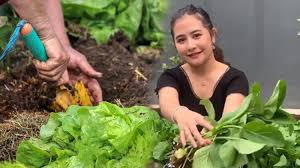 5 tanaman sayur yang mudah ditanam di halaman rumah. Seperti Prilly Latuconsina Ini 5 Manfaat Punya Kebun Sayur Organik Sendiri Di Rumah Halaman 3 Tribunstyle Com