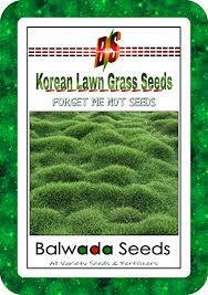 Maybe you would like to learn more about one of these? Buy Lawn Grass Seeds Korean Soft Lawn Grass High Quality Selected 5000 Seeds Packet Online At Low Prices In India Amazon In