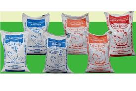 We did not find results for: Produksi Pakan Ternak Diperkirakan Tumbuh 6 Persen Portal Agribisnis Indonesia