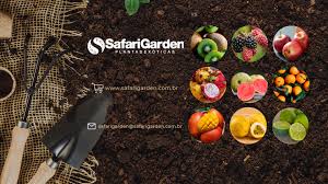 O livro virtual Frutas do...