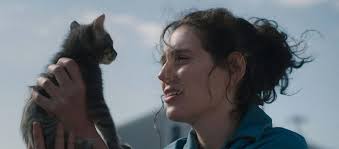 Дон Бонер (Don Boner)