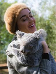 Twitter ニューハーフ エロ動画