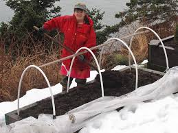 We'll do the shopping for you. How Snow Affects Plants Organic Gardening Tips Lagniappe