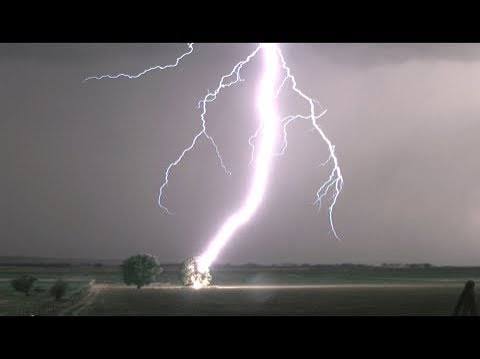 Lightning Striking Tree in 4K - Tree Catches on Fire !!! - YouTube