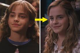 Background images, brown background images of dried flowers. Which Hermione From Harry Potter Are You