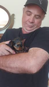 Love at first sight story of a yorkie and owner