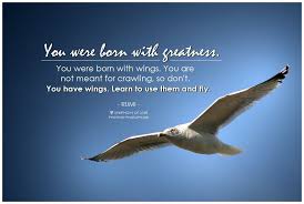 Rumi You Were Born With Greatness You Were Born With Wings You Are Not Meant For Crawling So Dont You Have Wings Le Greatful Picture Quotes Believe In You