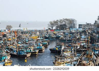 2,307 Mumbai Fishing Royalty-Free Images, Stock Photos & Pictures | Shutterstock