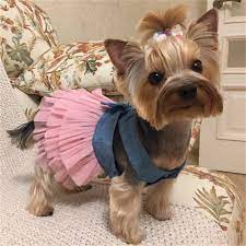 Ruffled Summer Dog Party Dress In 2021 Puppy Clothes Dog Clothes Princess Dog