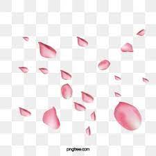 Pink Rose Petals Floating Rose Clipart Rose Petal Pink Png Transparent Clipart Image And Psd File For Free Download Rose Clipart Rose Petals Falling Rose Petals