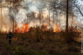 Une foret devastee pdf epub, actually i was curious because my friends were talking about a lot of this les landes : Biscarrosse 30 000 Metres Carres De Foret Incendies Au Centre D Essai Des Landes Actu