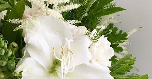 We provide flower and gift delivery throughout broward county with same day delivery available 7 days a week. Videos Team Flower Education And Community For Flower Professionals