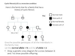 Other medical professionals to assess families and try to spot patterns or indications which may. Here Is The Family Tree For A Family That Has A History Of Cystic Fibrosis Give The Possible Genotypes Of All The Individuals In The Family Tree Let The Ppt Download