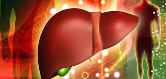 مراحل غيبوبة الكبد - موضوع