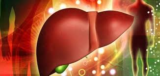 مراحل غيبوبة الكبد - موضوع