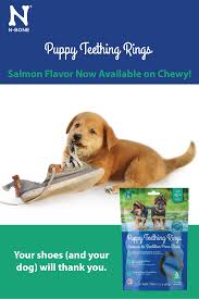 Product benefits you can rest assured knowing that your puppy is getting the best, all natural ingredients to help him/her grow healthy. N Bone Puppy Teething Rings Salmon Flavor Dog Treats 6 Count Chewy Com Puppy Teething Puppies Puppy Find