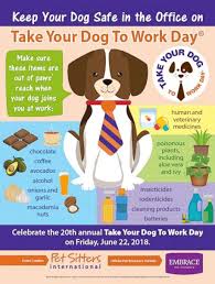 World pet memorial day.second tuesday in june. Take Your Dog To Work Day Ideas To Celebrate And Keep Your Dog And Co Workers Safe Gma
