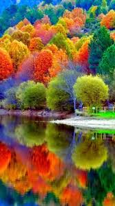 We did not find results for: Ultra Hd Wallpapers For Mobile Nature