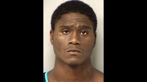 Teen accused of stealing car, burglarizing others